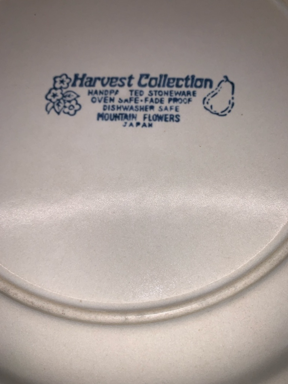MCM Vintage Harvest Collection Floral Ceramic Dinner Plates Set - Picture 6 of 7
